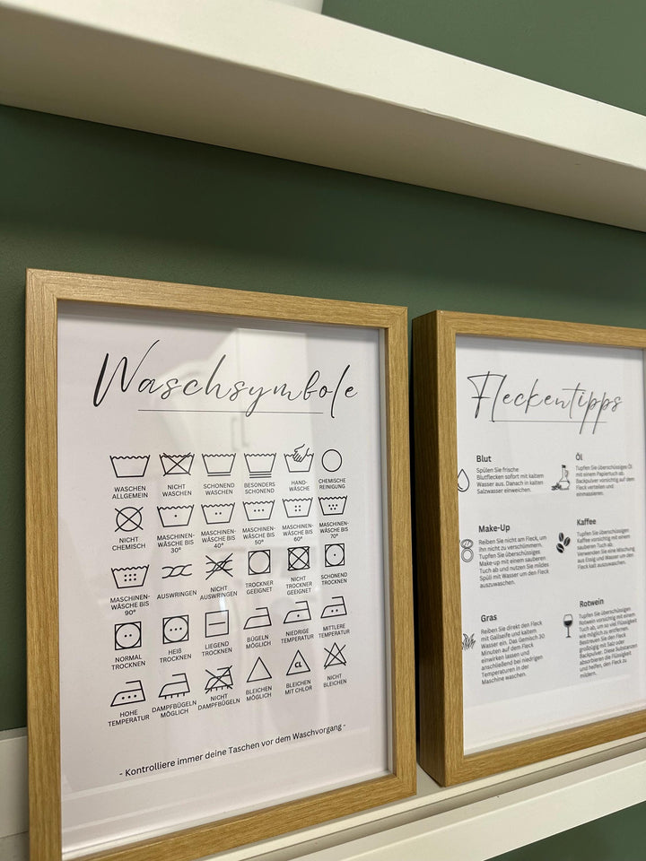 Poster Fleckentipps PDF